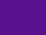 Regal Purple Color Chip